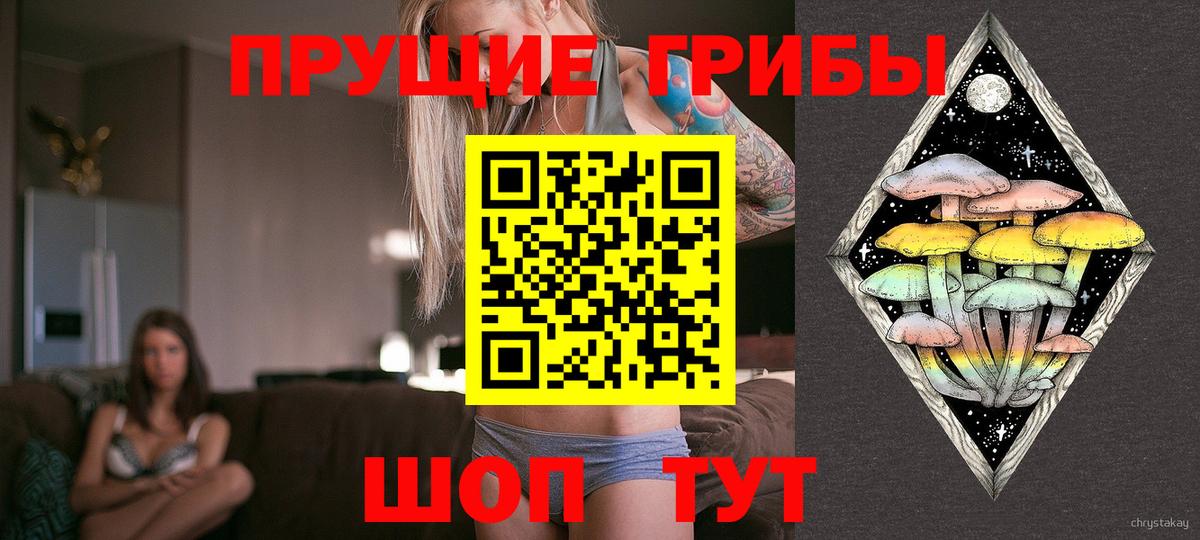 Псилоцибиновые грибы ЛСД  Псилоцибиновые грибы MAGIC MUSHROOMS  Всеволожск  Вход с VPN 