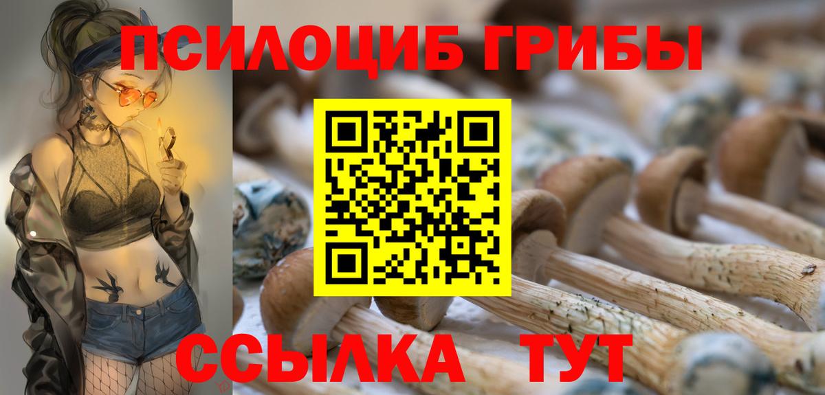Псилоцибиновые грибы прущие грибы Всеволожск